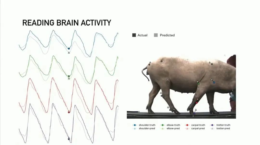 Neuralink进展迅速：马斯克宣布2025年计划为20至30名患者植入脑机接口_国内首例植入式脑机接口_脑机接口植入技术的植入期限是