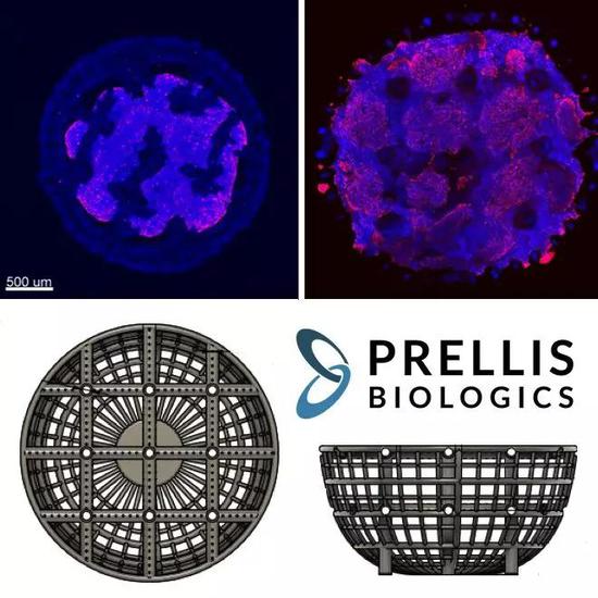 马斯克植入人体芯片_马斯克确诊_马斯克的计划暴露于市场：2025年Neuralink将首次为20至30例患者实施植入