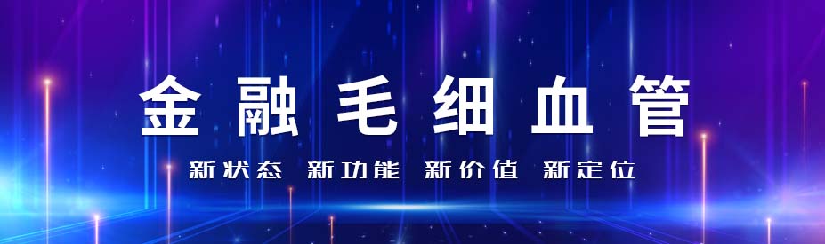 数字货币对宏观经济影响与未来发展趋势深度解析 - 线上研讨会精彩回顾