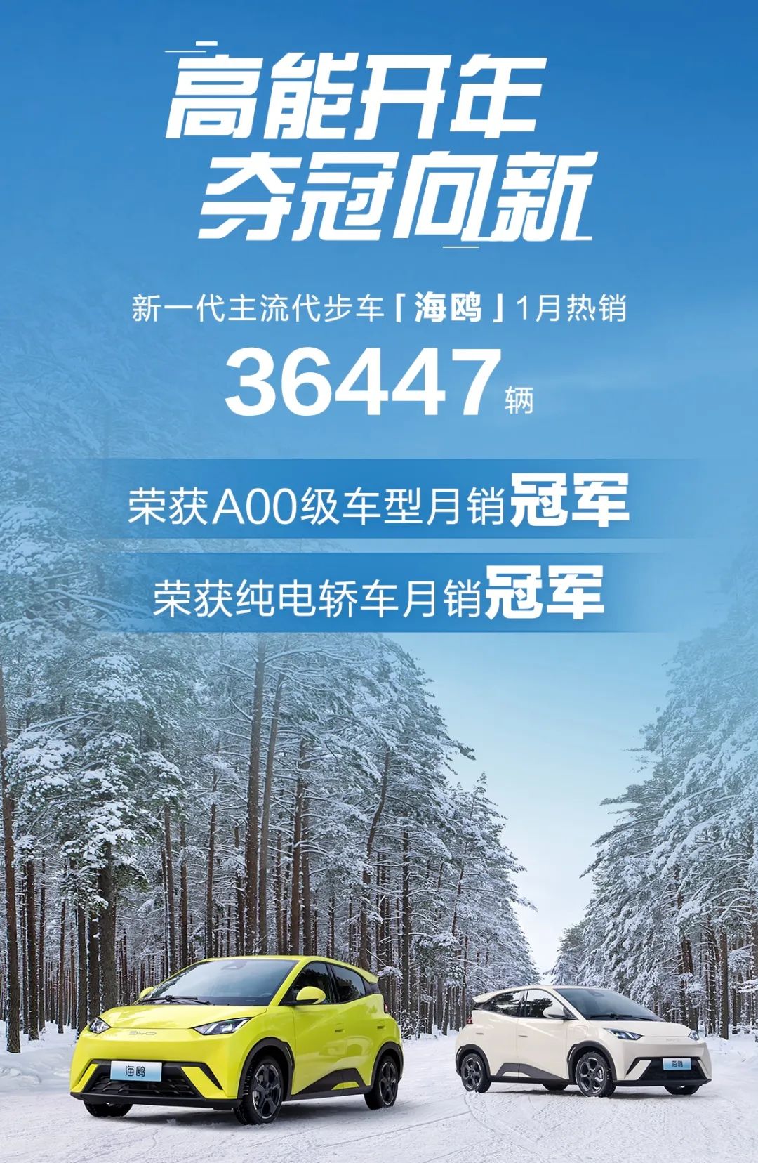 海鸥比亚迪_国产海鸥门电动汽车_一款改变电动汽车市场的车型——比亚迪海鸥